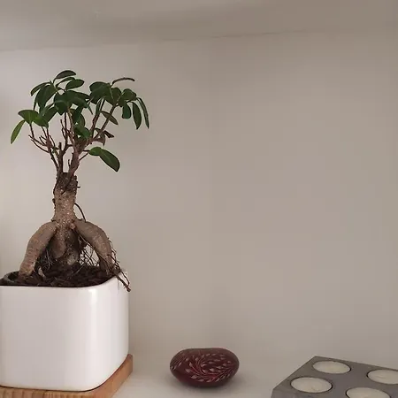 65m2 Proche Centre Ville, Parking *