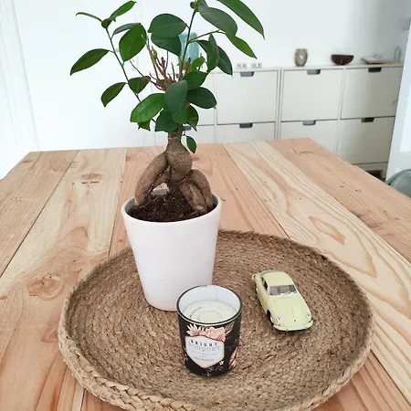 65m2 Proche Centre Ville, Parking Angers