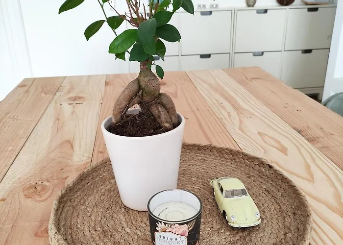 65m2 Proche Centre Ville, Parking Angers